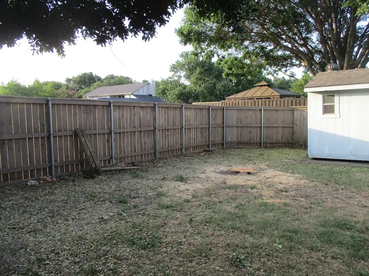 Cleared yard after professional tree removal in Weirsdale